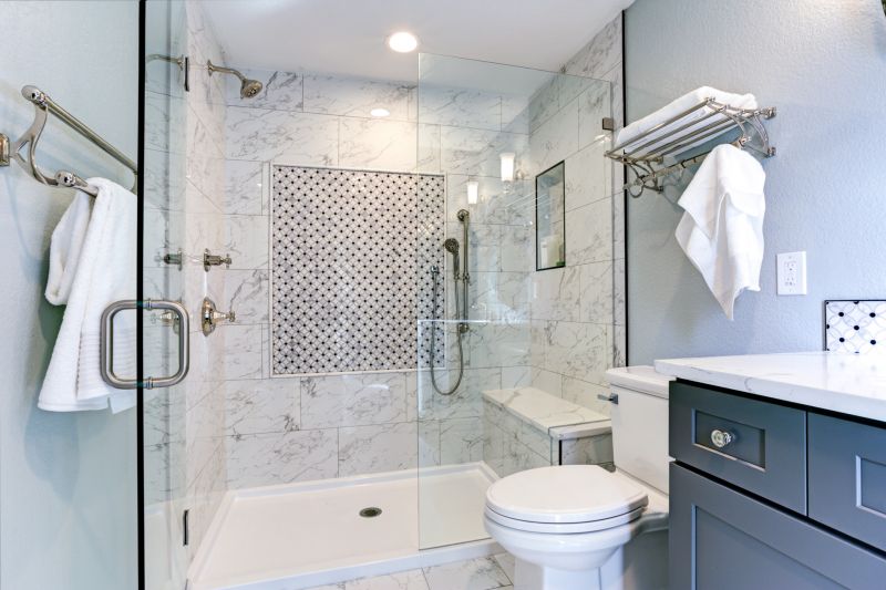 Shower Door Installation in Denver County, CO
